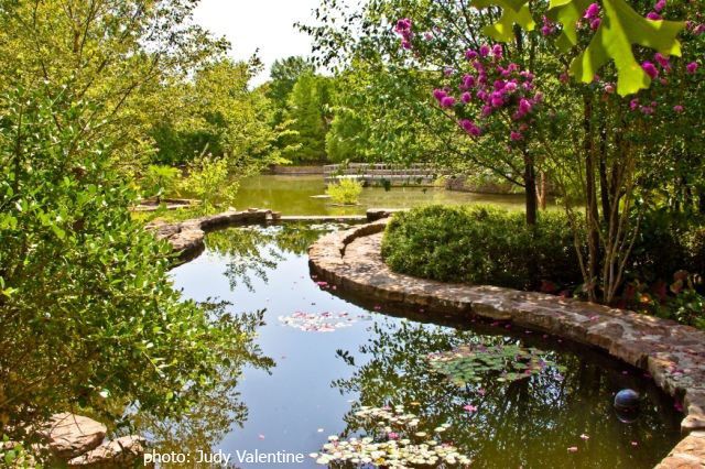 Walk to Clark Gardens, photo by Judy Valentine