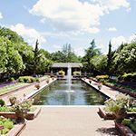Mikka Hill Photography - Channel Gardens